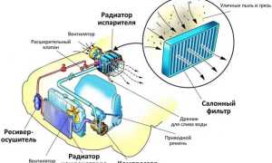 ТОП-5 лучших очистителей кондиционера автомобиля