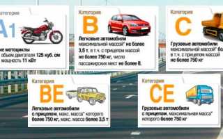 Как получить водительские права категории D