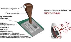 Для чего нужна нейтральная передача на АКПП и как её правильно использовать