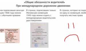 Нужны ли международные водительские права в Европе?