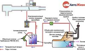 Адсорбер топливной системы автомобиля: из чего состоит и как работает?