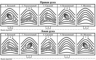 Как рассчитать количество автомобилей на 1000 жителей